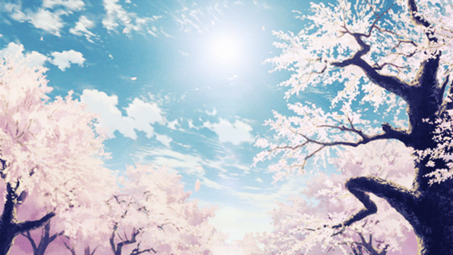 Anime Sakura Tree Animated