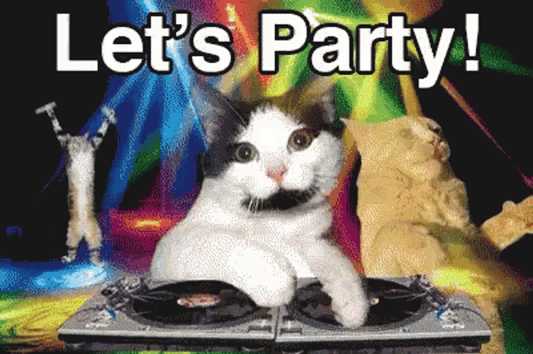 Dj Cat Party On