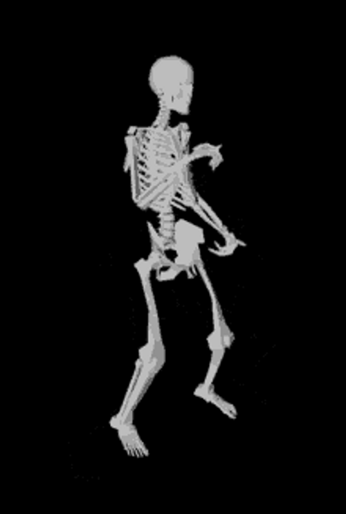 Funny Dancing Skeleton X-ray Twerk
