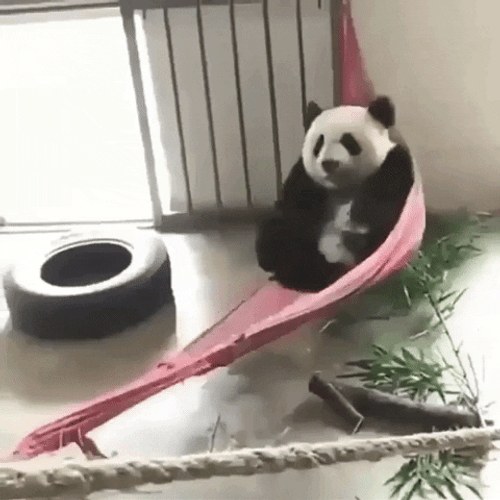 Cute Panda Swinging