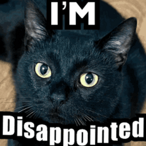 Disappointed Black Cat