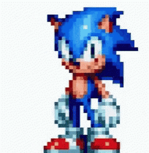 Pixelated Sonic Swag