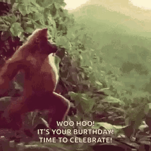 Funny Birthday Orangutan