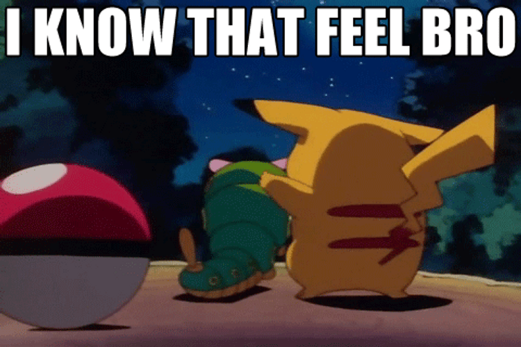 Pikachu I Know That Feel Bro