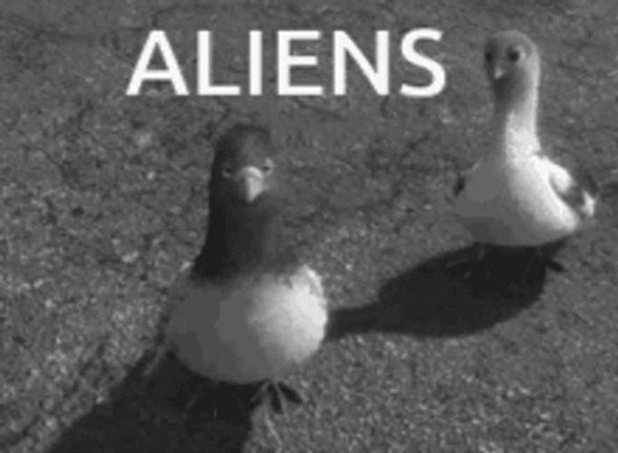 Angry Pigeons Alien