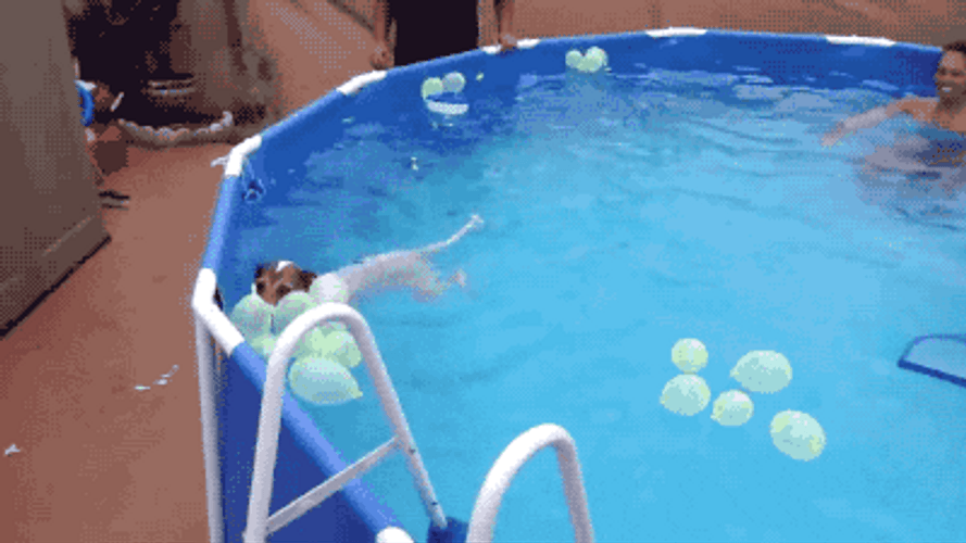 Dog Swimming With Balloon