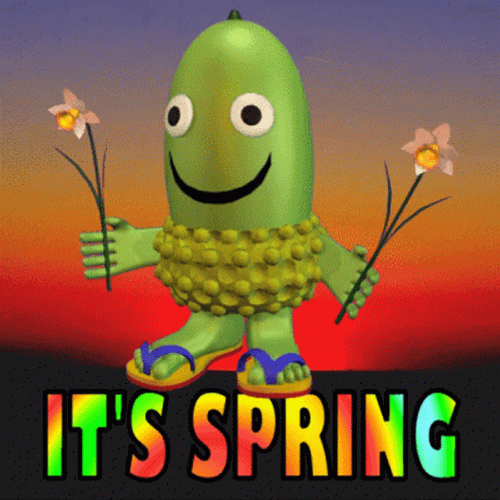 Acorn It&s Spring