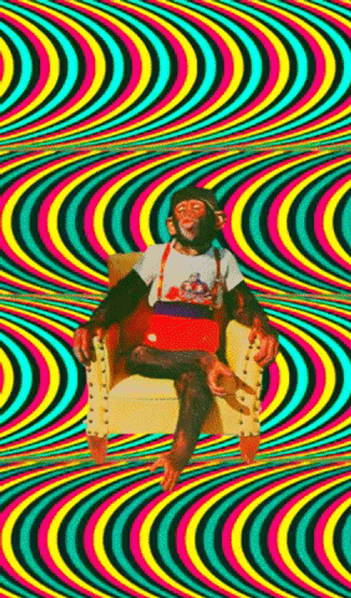 Collage Psychedelic Monkey Art