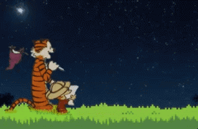 Calvin And Hobbes Shooting Star Night