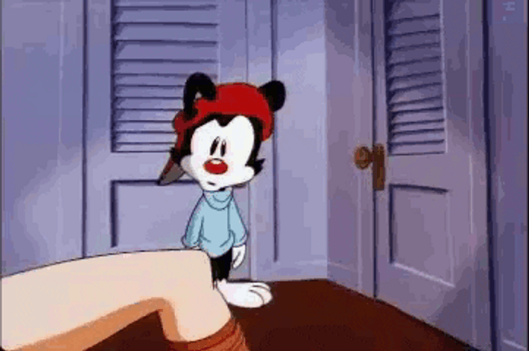 Animaniacs Looking At Woman&s Legs