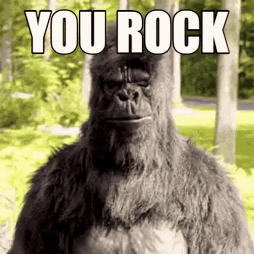 You Rock Gorilla