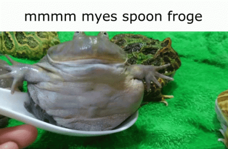 Spoon Big Frog