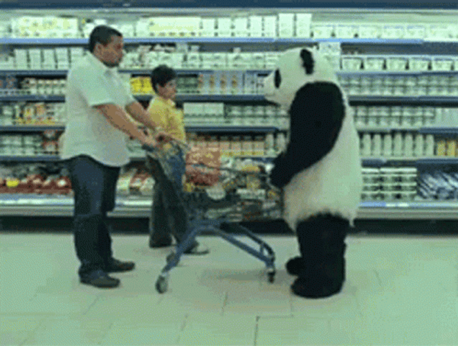 Panda Grocery Cart Rage