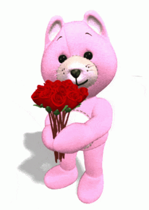 Pink Bear Red Roses