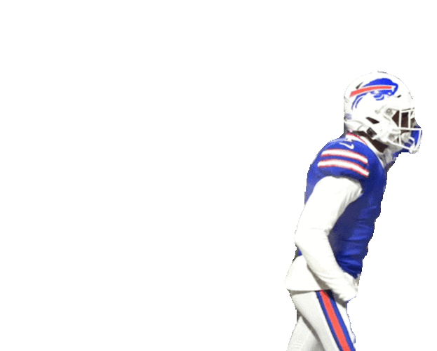 Buffalo Bills Bow And Salute