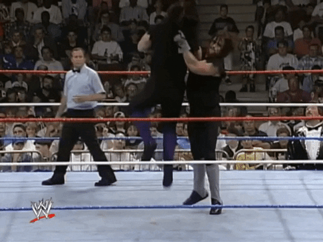 The Undertaker Raising The Opponent