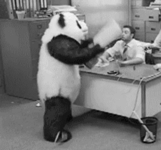 Angry Office Panda Breaking Keyboard