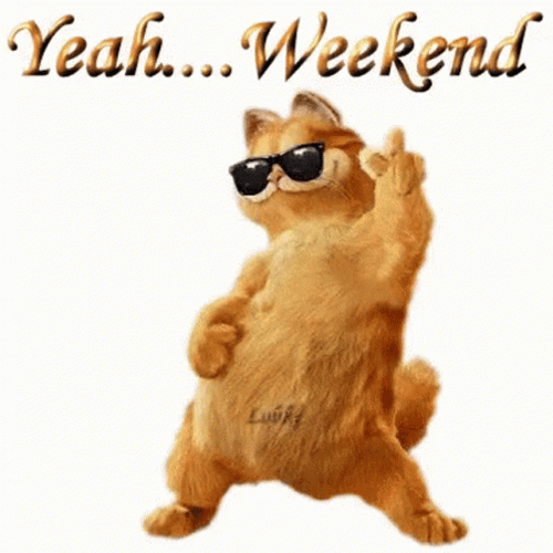 Dancing Cat Sunglasses Weekend