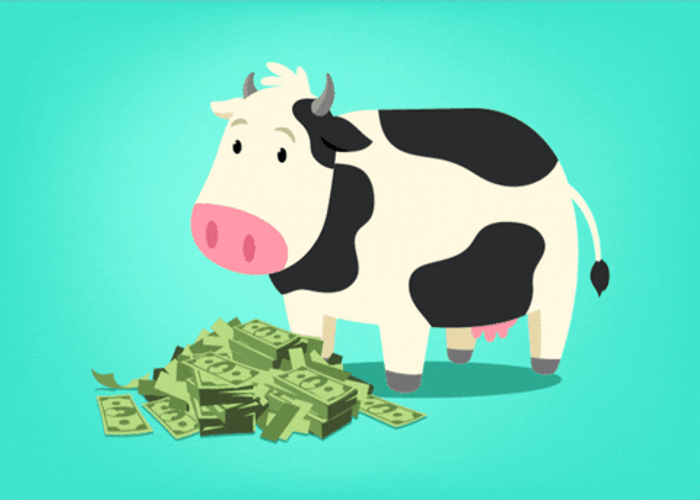Cow Eating Money