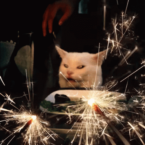 Table Cat Meme Fireworks