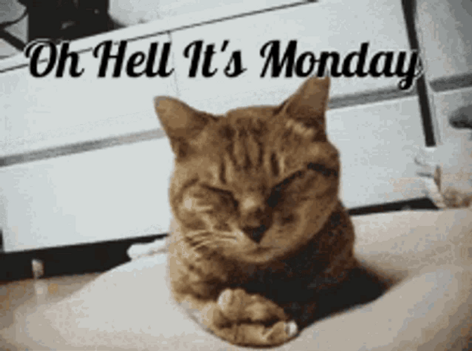 Oh Hell It&s Monday