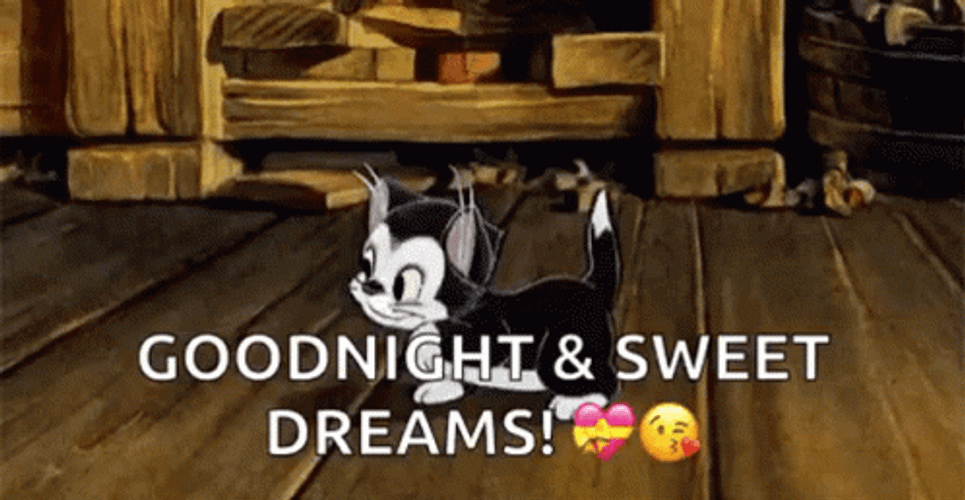 Good Night Sweet Dreams Kitten Figaro