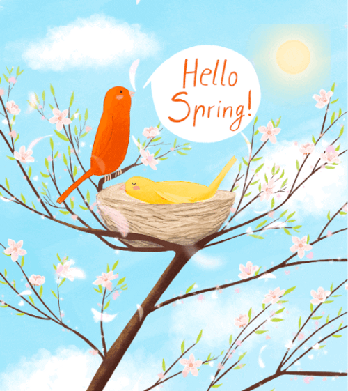 Bird Hello Spring