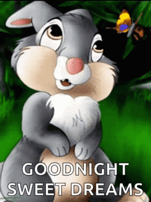 Good Night Sweet Dreams Stunned Bunny