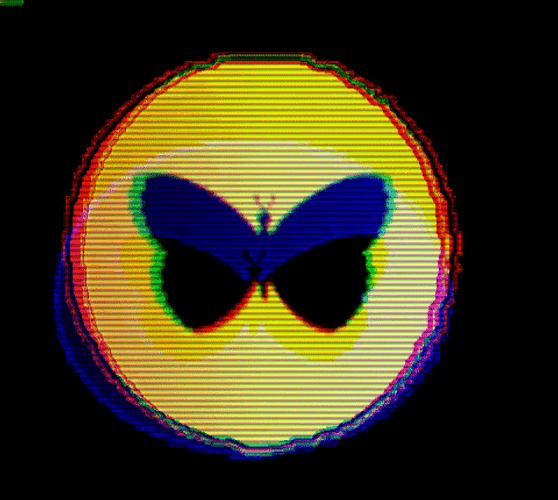 Butterfly Glitch Retrowave Aesthetic