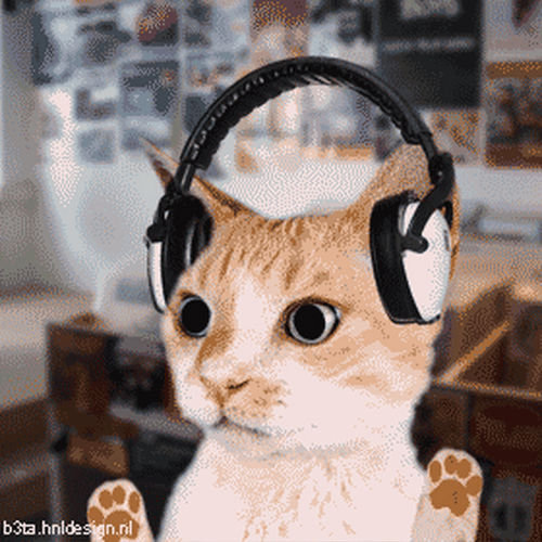 Cat With Headphone