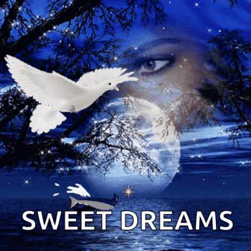 Good Night Sweet Dreams White Bird