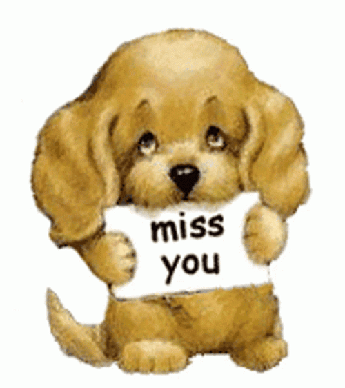 Miss You Sad Puppy