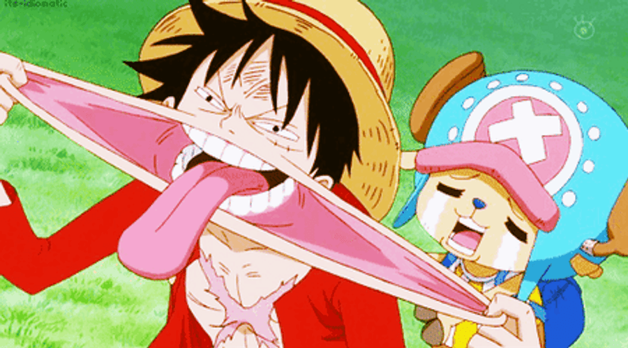 One Piece Funny Luffy And Chopper