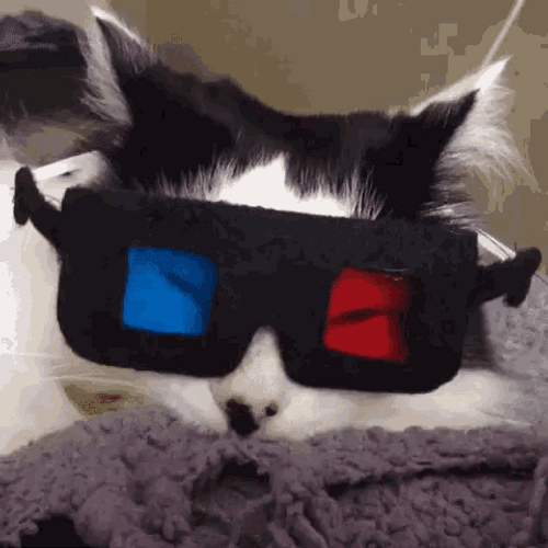 Cute Sleepy Cat Movie d Glasses