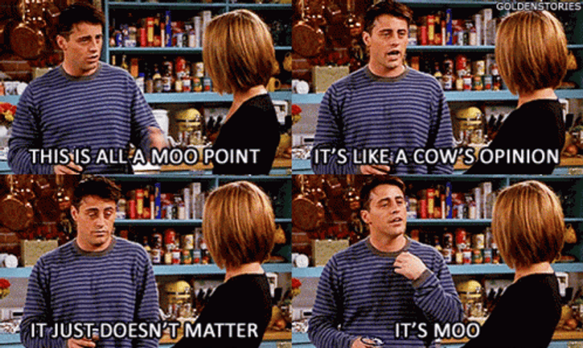 Cow&s Opinion Joey