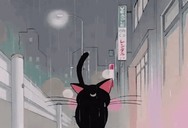 Aesthetic Anime Luna Cat Rain