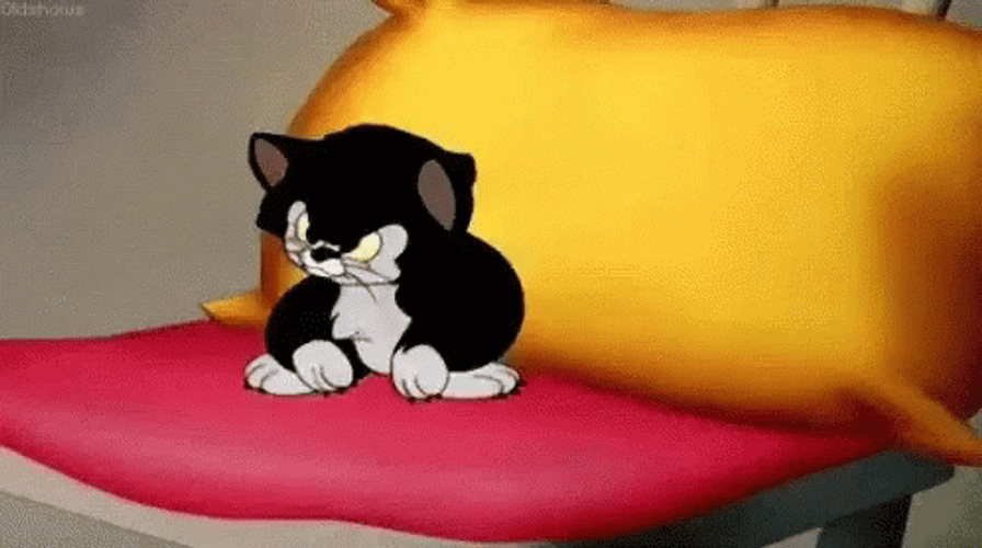 Grumpy Cat Figaro
