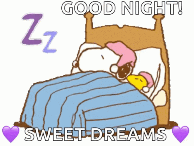 Good Night Sweet Dreams Sleeping Snoopy
