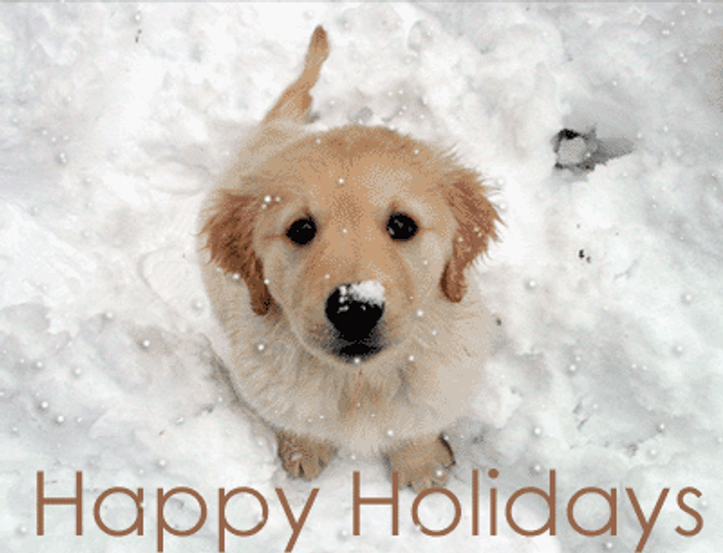 Happy Holidays Dog Puppy
