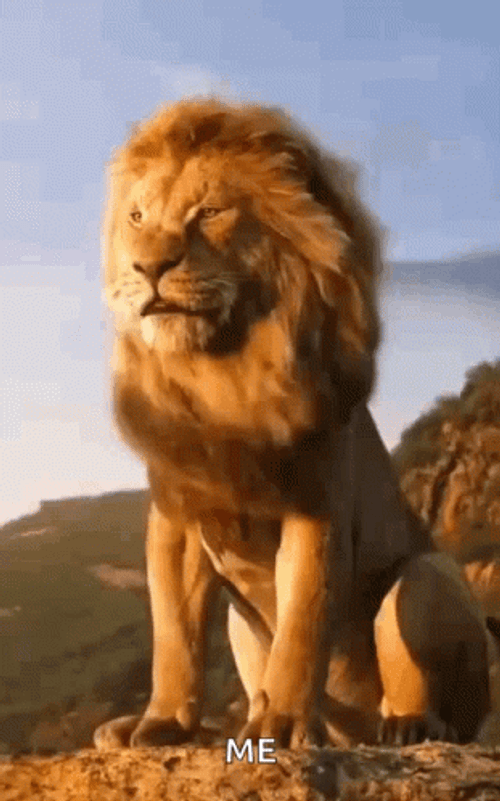 Lion King Animal