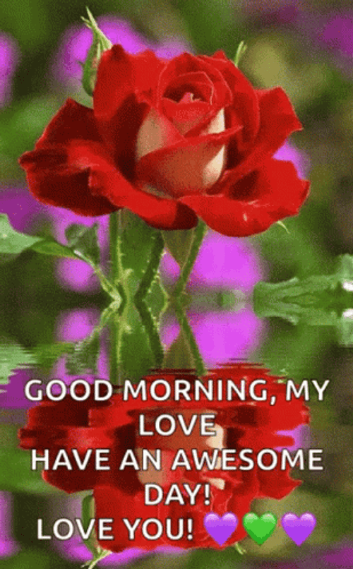 Good Morning My Love Awesome Day