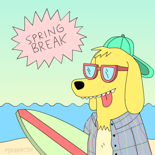 Dog Spring Break
