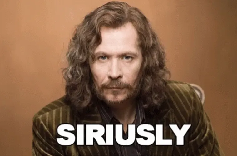 Harry Potter Sirius Black Siriusly
