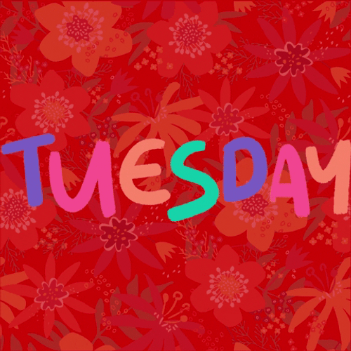 Tuesday Colorful Animation