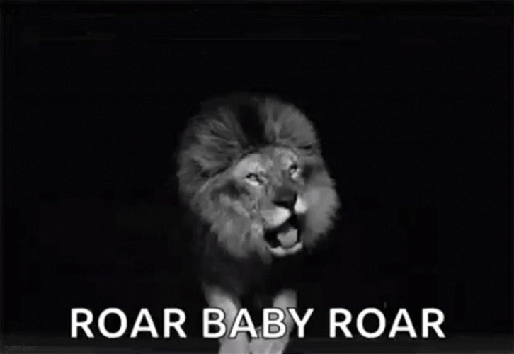 Lion Roar Baby Roar