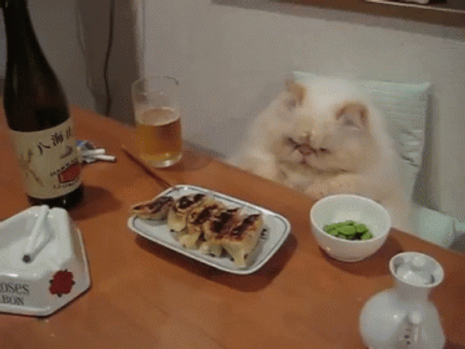 Grumpy Cat Eating Sushi