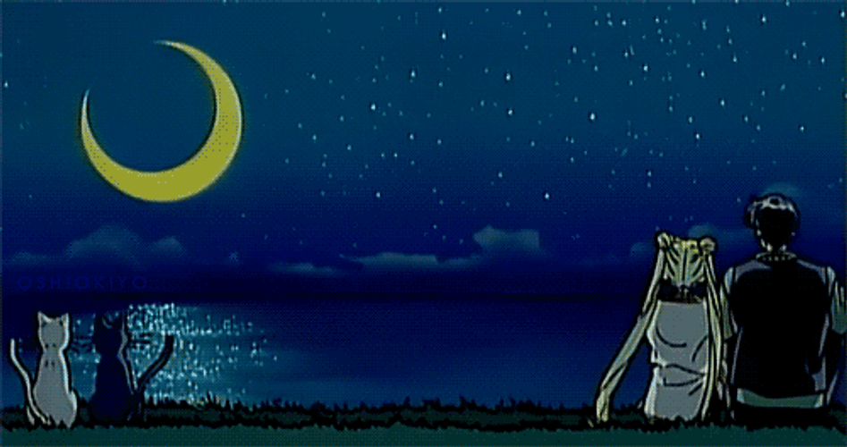 Sailor Moon Tuxedo Mask Under Night Sky