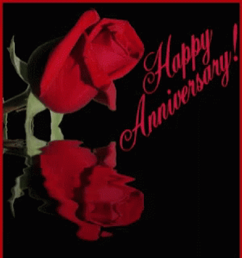 Happy Anniversary Red Rose