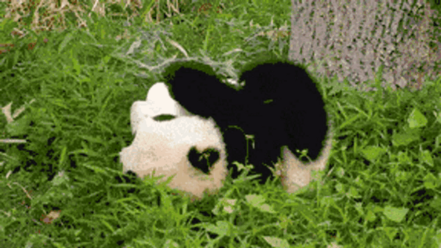Panda Cub Grass Roll