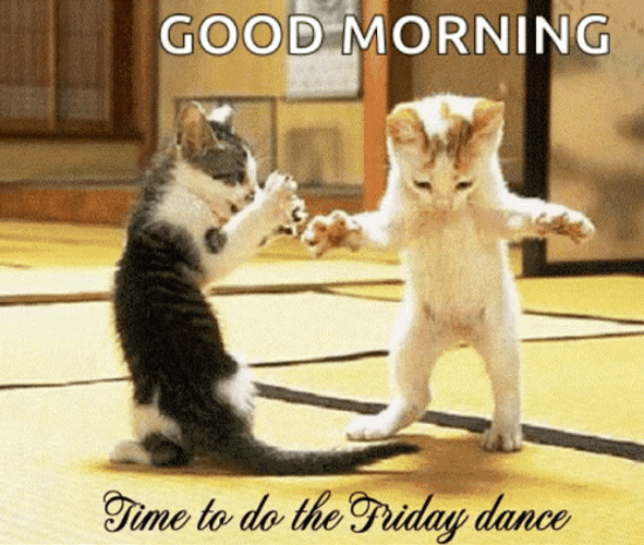 Good Morning Friday Dance Time Kittens